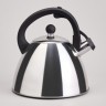 Чайник со свистком и мерной шкалой, 3,2л Agness (940-020)