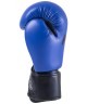 Перчатки боксерские Spider Blue, к/з, 6 oz (805088)