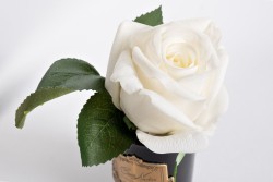 Диффузор Rose Bud White, спрей Rose Oud 5мл в упаковке (TT-00006246)