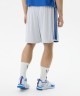 Шорты двухсторонние JOGEL DIVISION PerFormDRY Double-side Shorts, синий/белый (2130717)