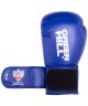 Перчатки боксерские REX BGR-2272, 12 oz, синий (434415)