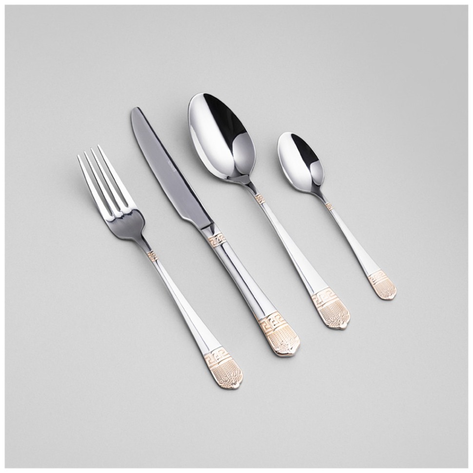 Набор столовых приборов sole agness 24 пр., сталь 18/0 Agness (1000-007)