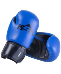 Перчатки боксерские Spider Blue, к/з, 12 oz (805094)