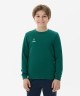 Свитшот JOGEL ESSENTIAL Sweatshirt, темно-зеленый, детский (2121982)