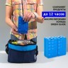 Изотермическая сумка-холодильник 6л P2206 (96259)