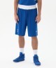 Шорты боксерские INSANE RBF, синий (2133706)