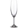 Набор бокалов для шампанского из 6 штук "lara" 220 мл высота 22,5 см Bohemia Crystal (674-786)