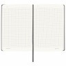 Блокнот А5 Brauberg Ultra 80 г/м2 96 листов клетка 113036 (2) (85509)