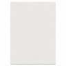 Картон белый мелованный Brauberg А2 10 листов 240 г/м2 124764 (2) (87127)