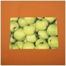 Фартук "фруктовый шейк" ,охра, 100% хлопок SANTALINO (850-605-39)