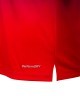 Футболка тренировочная JOGEL NATIONAL PerFormDRY Pre-Match Tee, сине-красный (2113269)