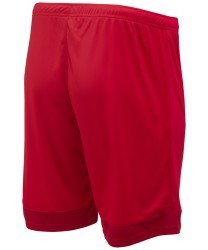 Шорты игровые DIVISION PerFormDRY Union Shorts, красный/темно-красный/белый (2101137)