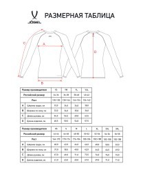 Футболка компрессионная с длинным рукавом JOGEL CAMP PerFormDRY Baselayer LS Tee, голубой (2124273)