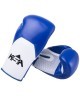 Перчатки боксерские Scorpio Blue, к/з, 14 oz (805107)
