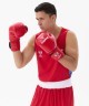 Перчатки боксерские INSANE RBF, красный, 12 oz (2127994)