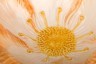 Салатник "цветок" оранжевый 33*33 см. высота=13 см. Annaluma (628-542)