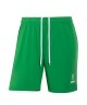 Шорты вратарские JOGEL NATIONAL PerFormDRY GK Shorts, зеленый (2113596)