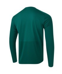 Джемпер тренировочный JOGEL DIVISION PerFormDRY Pro Training Top, темно-зеленый (2120482)