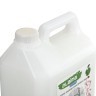 Мыло жидкое гипоаллергенное биоразлагаемое 5 л, LAIMA EXPERT Миндальное молочко, 607763 (1) (96564)