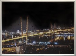 Владивостокские мосты 5 (2028)