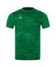 Футболка вратарская JOGEL DIVISION PerFormDRY SPLASH GK Jersey, зеленый (2120577)