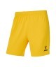 Шорты вратарские JOGEL PREMIER PerFormDRY GK Shorts Yellow, желтый (2119720)