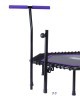 Батут TR-401 112 см с держателем, фиолетовый (719951)