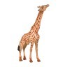 Набор фигурок животных серии "Мир диких животных": Семья жирафов, 3 предмета (MM211-294)