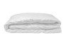 Одеяло Престиж 200*220 100% белый гусиный пух, 1 класс (TT-00010917)