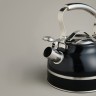 Чайник agness со свистком 2,7л, термоаккумулирующее дно, 304 сталь,  индукция Agness (914-303)
