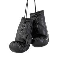 Перчатки боксерские AG-1008FBR сувенирные, черный (2072890)