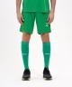 Шорты игровые JOGEL DIVISION PerFormDRY Union Shorts, зеленый (2111829)