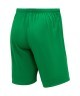 Шорты игровые JOGEL DIVISION PerFormDRY Union Shorts, зеленый (2111829)