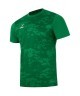 Футболка вратарская JOGEL DIVISION PerFormDRY SPLASH GK Jersey, зеленый, детский (2120961)