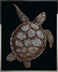 Морская черепаха (2361)