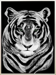 Белый тигр (2396)