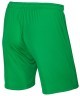 Шорты футбольные JFS-1110-031, зеленый/белый, детские (436293)