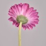 Цветок искусственный "гербера" высота=61см. Lefard (287-563)