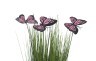 Стебли травы с бабочками на плетеной основе 40 см (крас.) (6) - 00002442