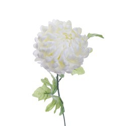 Хризантема белая 63 см (24) - 00002432