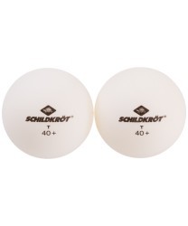 БЕЗ УПАКОВКИ Мяч для настольного тенниса 1T-TRAINING, белый, 120 шт. (2108642)