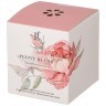 Свеча ароматизированная в стакане "peony blush" 7,5*8,5 см Lefard (625-119)