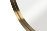 Зеркало овальное в мет. раме цвет золото 45*110*3,5см (TT-00004754)