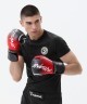 Перчатки боксерские INSANE IMPACT, красный, 16 oz (2115680)