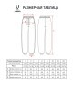 Брюки спортивные JOGEL ESSENTIAL Club Cotton Pants Z4, темно-синий (2130798)