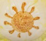 Салатник "цветок" диаметр=12 см. желтый Annaluma (628-523)