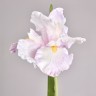 Цветок искусственный "розовый ирис" высота=95см. Lefard (287-579)