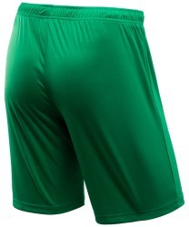 Шорты игровые CAMP Classic Shorts, зеленый/белый (702558)