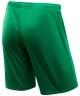 Шорты игровые JOGEL CAMP Classic Shorts, зеленый/белый (702558)