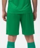 Шорты игровые JOGEL CAMP Classic Shorts, зеленый/белый (702558)